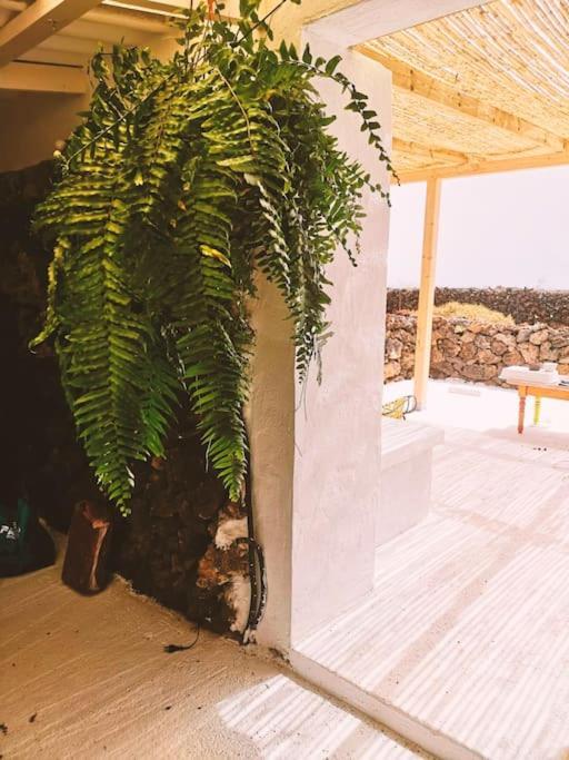 Estudio Con Bano Privado Orzola Εξωτερικό φωτογραφία